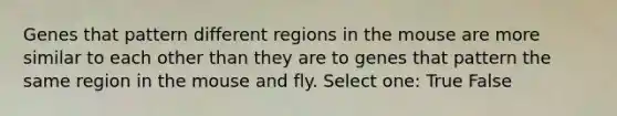 Genes that pattern different regions in the mouse are more similar to each other than they are to genes that pattern the same region in the mouse and fly. Select one: True False