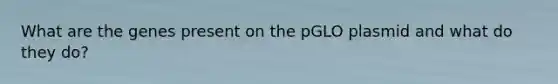 What are the genes present on the pGLO plasmid and what do they do?