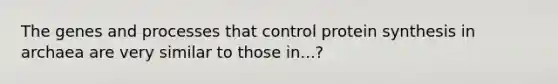 The genes and processes that control protein synthesis in archaea are very similar to those in...?