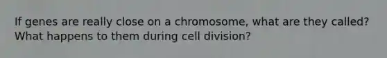 If genes are really close on a chromosome, what are they called? What happens to them during cell division?