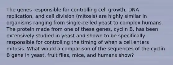 The genes responsible for controlling cell growth, DNA replication, and cell division (mitosis) are highly similar in organisms ranging from single-celled yeast to complex humans. The protein made from one of these genes, cyclin B, has been extensively studied in yeast and shown to be specifically responsible for controlling the timing of when a cell enters mitosis. What would a comparison of the sequences of the cyclin B gene in yeast, fruit flies, mice, and humans show?