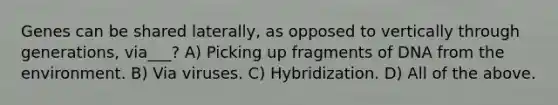 Genes can be shared laterally, as opposed to vertically through generations, via___? A) Picking up fragments of DNA from the environment. B) Via viruses. C) Hybridization. D) All of the above.