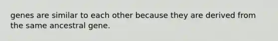 genes are similar to each other because they are derived from the same ancestral gene.