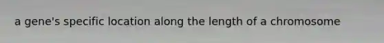 a gene's specific location along the length of a chromosome