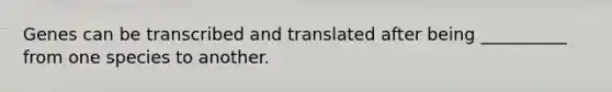 Genes can be transcribed and translated after being __________ from one species to another.