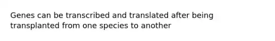 Genes can be transcribed and translated after being transplanted from one species to another