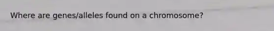 Where are genes/alleles found on a chromosome?