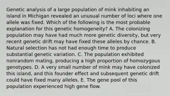 Genetic analysis of a large population of mink inhabiting an island in Michigan revealed an unusual number of loci where one allele was fixed. Which of the following is the most probable explanation for this genetic homogeneity? A. The colonizing population may have had much more genetic diversity, but very recent genetic drift may have fixed these alleles by chance. B. Natural selection has not had enough time to produce substantial genetic variation. C. The population exhibited nonrandom mating, producing a high proportion of homozygous genotypes. D. A very small number of mink may have colonized this island, and this founder effect and subsequent genetic drift could have fixed many alleles. E. The gene pool of this population experienced high gene flow.