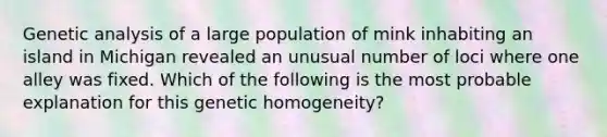 Genetic analysis of a large population of mink inhabiting an island in Michigan revealed an unusual number of loci where one alley was fixed. Which of the following is the most probable explanation for this genetic homogeneity?