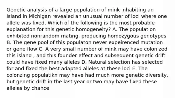 Genetic analysis of a large population of mink inhabiting an island in Michigan revealed an unusual number of loci where one allele was fixed. Which of the following is the most probable explanation for this genetic homogeneity? A. The population exhibited nonrandom mating, producing homozygous genotypes B. The gene pool of this populaton never expeirenced mutation or gene flow C. A very small number of mink may have colonized this island , and this founder effect and subsequent genetic drift could have fixed many alleles D. Natural selection has selected for and fixed the best adapted alleles at these loci E. The colonzing populatikn may have had much more genetic diversity, but genetic drift in the last year or two may have fixed these alleles by chance