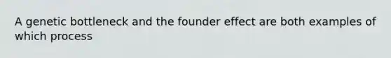 A genetic bottleneck and the founder effect are both examples of which process