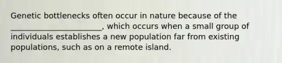 Genetic bottlenecks often occur in nature because of the _______________________, which occurs when a small group of individuals establishes a new population far from existing populations, such as on a remote island.