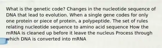 What is the genetic code? Changes in the nucleotide sequence of DNA that lead to evolution. When a single gene codes for only one protein or piece of protein, a polypeptide. The set of rules relating nucleotide sequence to amino acid sequence How the mRNA is cleaned up before it leave the nucleus Process through which DNA is converted into mRNA