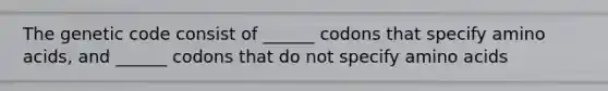 The genetic code consist of ______ codons that specify amino acids, and ______ codons that do not specify amino acids