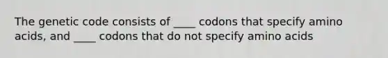 The genetic code consists of ____ codons that specify amino acids, and ____ codons that do not specify amino acids