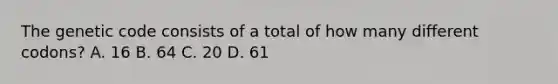 The genetic code consists of a total of how many different codons? A. 16 B. 64 C. 20 D. 61