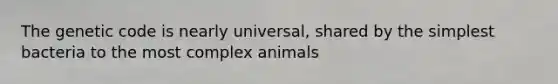 The genetic code is nearly universal, shared by the simplest bacteria to the most complex animals