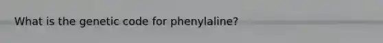 What is the genetic code for phenylaline?