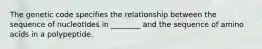 The genetic code specifies the relationship between the sequence of nucleotides in ________ and the sequence of amino acids in a polypeptide.