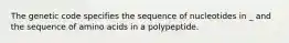 The genetic code specifies the sequence of nucleotides in _ and the sequence of amino acids in a polypeptide.