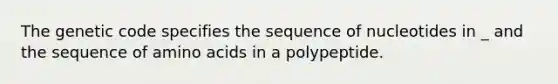 The genetic code specifies the sequence of nucleotides in _ and the sequence of amino acids in a polypeptide.