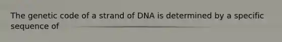 The genetic code of a strand of DNA is determined by a specific sequence of