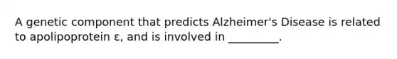 A genetic component that predicts Alzheimer's Disease is related to apolipoprotein ε, and is involved in _________.