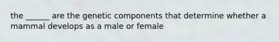 the ______ are the genetic components that determine whether a mammal develops as a male or female