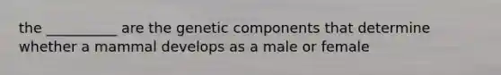 the __________ are the genetic components that determine whether a mammal develops as a male or female