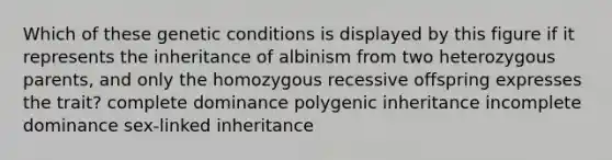 Which of these genetic conditions is displayed by this figure if it represents the inheritance of albinism from two heterozygous parents, and only the homozygous recessive offspring expresses the trait? complete dominance polygenic inheritance incomplete dominance sex-linked inheritance