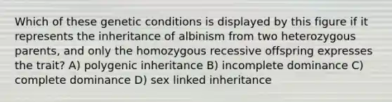 Which of these genetic conditions is displayed by this figure if it represents the inheritance of albinism from two heterozygous parents, and only the homozygous recessive offspring expresses the trait? A) polygenic inheritance B) incomplete dominance C) complete dominance D) sex linked inheritance