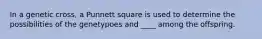 In a genetic cross, a Punnett square is used to determine the possibilities of the genetypoes and ____ among the offspring.