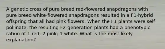 A genetic cross of pure breed red-flowered snapdragons with pure breed white-flowered snapdragons resulted in a F1-hybrid offspring that all had pink flowers. When the F1 plants were self-pollinate, the resulting F2-generation plants had a phenotypic ration of 1 red; 2 pink; 1 white. What is the most likely explanation?