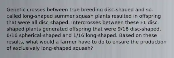 Genetic crosses between true breeding disc-shaped and so-called long-shaped summer squash plants resulted in offspring that were all disc-shaped. Intercrosses between these F1 disc-shaped plants generated offspring that were 9/16 disc-shaped, 6/16 spherical-shaped and 1/16 long-shaped. Based on these results, what would a farmer have to do to ensure the production of exclusively long-shaped squash?