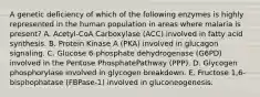 A genetic deficiency of which of the following enzymes is highly represented in the human population in areas where malaria is present? A. Acetyl-CoA Carboxylase (ACC) involved in fatty acid synthesis. B. Protein Kinase A (PKA) involved in glucagon signaling. C. Glucose 6-phosphate dehydrogenase (G6PD) involved in the Pentose PhosphatePathway (PPP). D. Glycogen phosphorylase involved in glycogen breakdown. E. Fructose 1,6-bisphophatase (FBPase-1) involved in gluconeogenesis.