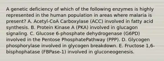 A genetic deficiency of which of the following enzymes is highly represented in the human population in areas where malaria is present? A. Acetyl-CoA Carboxylase (ACC) involved in fatty acid synthesis. B. Protein Kinase A (PKA) involved in glucagon signaling. C. Glucose 6-phosphate dehydrogenase (G6PD) involved in the Pentose PhosphatePathway (PPP). D. Glycogen phosphorylase involved in glycogen breakdown. E. Fructose 1,6-bisphophatase (FBPase-1) involved in gluconeogenesis.