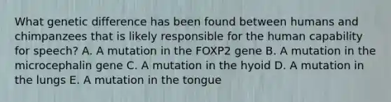 What genetic difference has been found between humans and chimpanzees that is likely responsible for the human capability for speech? A. A mutation in the FOXP2 gene B. A mutation in the microcephalin gene C. A mutation in the hyoid D. A mutation in the lungs E. A mutation in the tongue