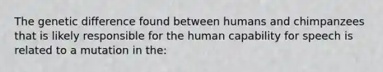 The genetic difference found between humans and chimpanzees that is likely responsible for the human capability for speech is related to a mutation in the: