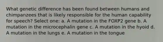 What genetic difference has been found between humans and chimpanzees that is likely responsible for the human capability for speech? Select one: a. A mutation in the FOXP2 gene b. A mutation in the microcephalin gene c. A mutation in the hyoid d. A mutation in the lungs e. A mutation in the tongue