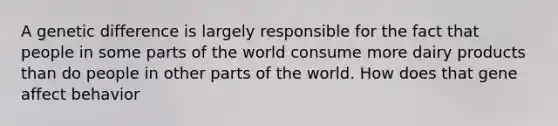 A genetic difference is largely responsible for the fact that people in some parts of the world consume more dairy products than do people in other parts of the world. How does that gene affect behavior