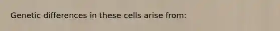 Genetic differences in these cells arise from: