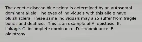 The genetic disease blue sclera is determined by an autosomal dominant allele. The eyes of individuals with this allele have bluish sclera. These same individuals may also suffer from fragile bones and deafness. This is an example of A. epistasis. B. linkage. C. incomplete dominance. D. codominance. E. pleiotropy.