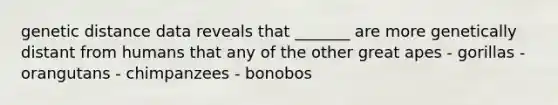 genetic distance data reveals that _______ are more genetically distant from humans that any of the other great apes - gorillas - orangutans - chimpanzees - bonobos