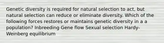 Genetic diversity is required for natural selection to act, but natural selection can reduce or eliminate diversity. Which of the following forces restores or maintains genetic diversity in a a population? Inbreeding Gene flow Sexual selection Hardy-Weinberg equilibrium