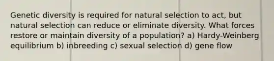 Genetic diversity is required for natural selection to act, but natural selection can reduce or eliminate diversity. What forces restore or maintain diversity of a population? a) Hardy-Weinberg equilibrium b) inbreeding c) sexual selection d) gene flow