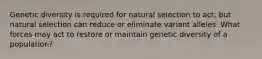 Genetic diversity is required for natural selection to act, but natural selection can reduce or eliminate variant alleles. What forces may act to restore or maintain genetic diversity of a population?