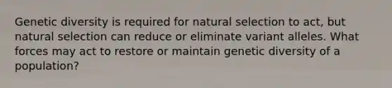 Genetic diversity is required for natural selection to act, but natural selection can reduce or eliminate variant alleles. What forces may act to restore or maintain genetic diversity of a population?