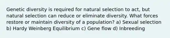 Genetic diversity is required for natural selection to act, but natural selection can reduce or eliminate diversity. What forces restore or maintain diversity of a population? a) Sexual selection b) Hardy Weinberg Equilibrium c) Gene flow d) Inbreeding