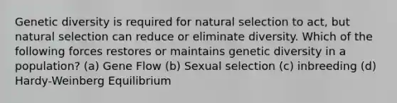 Genetic diversity is required for natural selection to act, but natural selection can reduce or eliminate diversity. Which of the following forces restores or maintains genetic diversity in a population? (a) Gene Flow (b) Sexual selection (c) inbreeding (d) Hardy-Weinberg Equilibrium