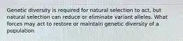 Genetic diversity is required for natural selection to act, but natural selection can reduce or eliminate variant alleles. What forces may act to restore or maintain genetic diversity of a population